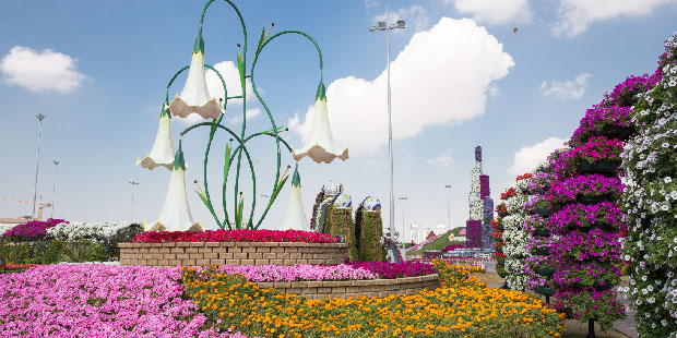 Miracle Garden