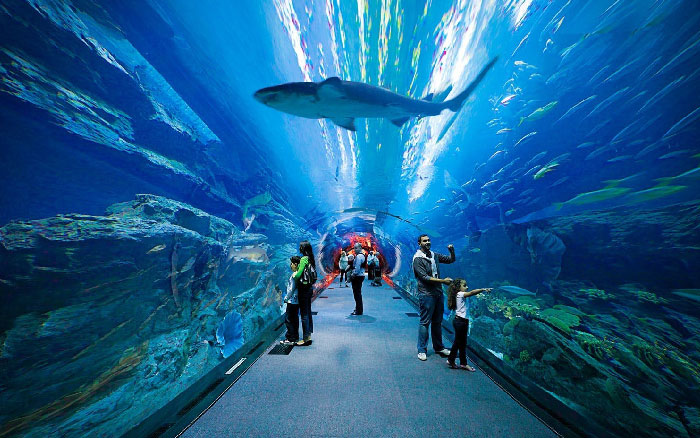 Dubai Attraction Tickets